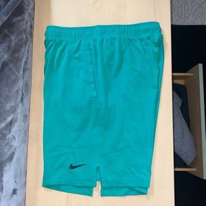 Mens Nike Dri Fit Shorts